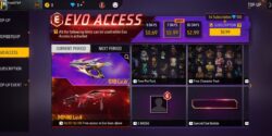 FREE FIRE EVO ACCESS